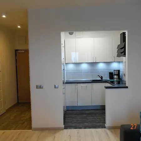 Dbd - Gray Turkus شتشيتسين