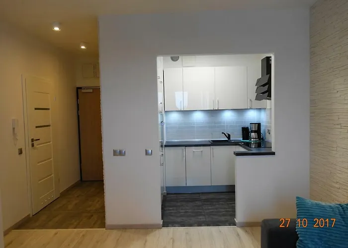 Dbd - Gray Turkus シュチェチン